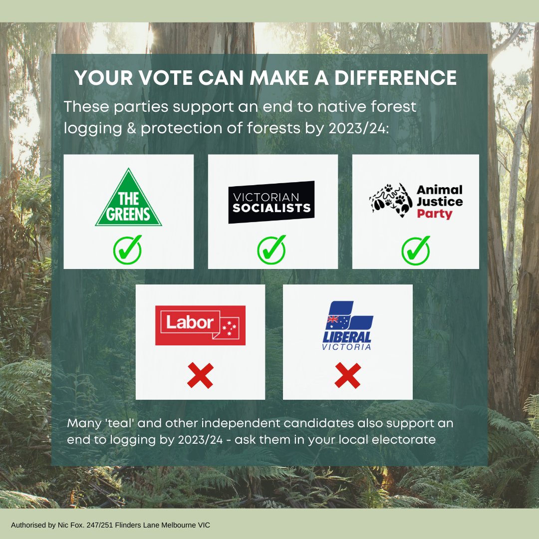 FriendsBats's tweet image. Vote for Forests! #EndNativeForestLoggingNow