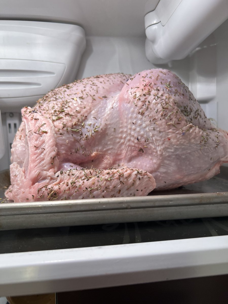 Oven didn’t fail me. 10.9 pound fresh Turkey cooked in one hour 40 minutes in convection oven 350. Unstuffed. No basting.