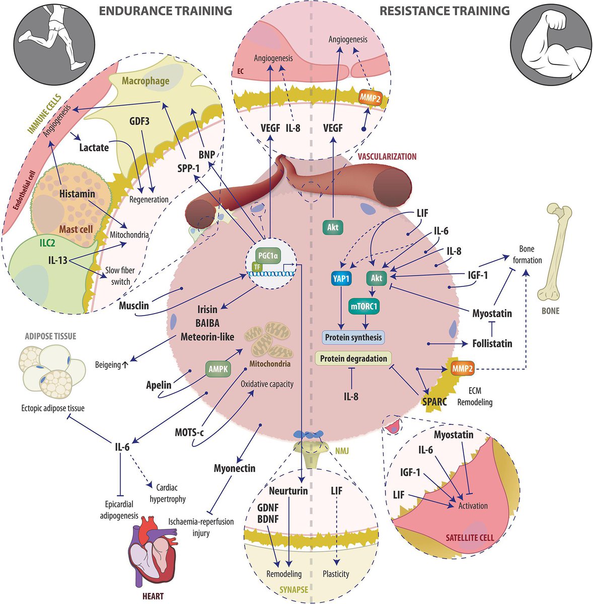 Christoph Burch tweet media