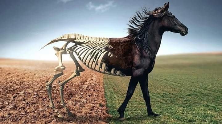 لا تأخذ جرعة كبيره من الثقة ..
اترك مكاناً للخيبة ، و مكاناً لاستيعابها أيضاً ..