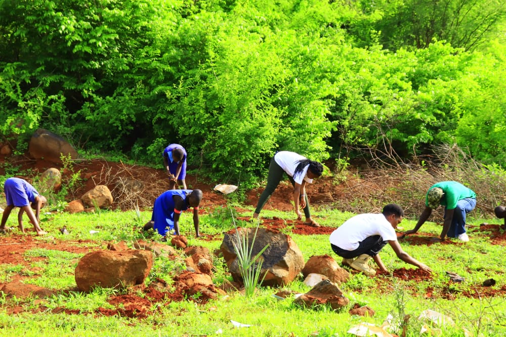 Karasinga3's tweet photo. What we are doing to the forests of the world is but a mirror reflection of what we are doing to ourselves and to one another. 
@Dedankm
@KeEquityBank
#ClimateActionNow https://t.co/v4kt6bQahA
