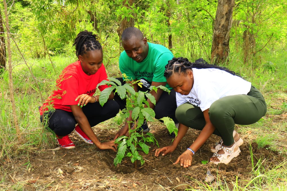 Karasinga3's tweet photo. What we are doing to the forests of the world is but a mirror reflection of what we are doing to ourselves and to one another. 
@Dedankm
@KeEquityBank
#ClimateActionNow https://t.co/v4kt6bQahA