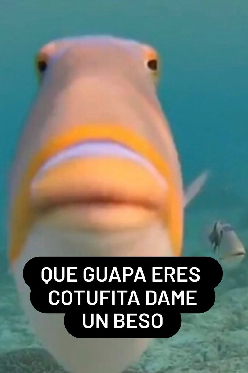 ExplicandoTTe's tweet photo. nadie :

Hugo cada 15 segundos :
#LaIslaDeLasTentaciones10 https://t.co/KzxXpF3Uxe
