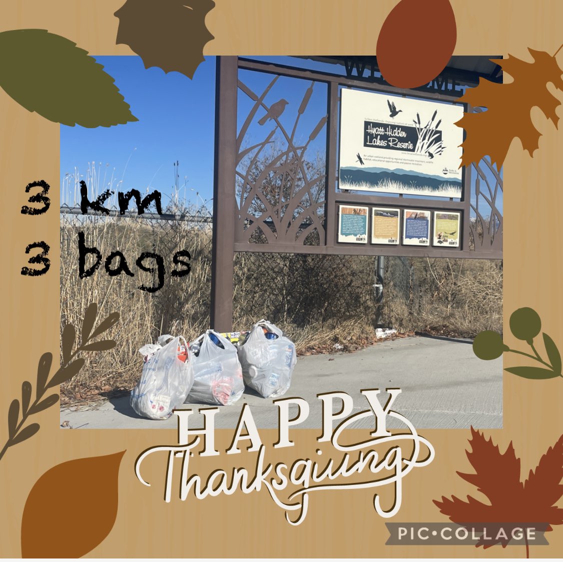 Licorne_sh's tweet photo. Thankful for the energy and motivation to do my part. #plogging #trashtag #BeTheChange #ActLocal #TakeYourLitterHome #IfNotMeWho https://t.co/ydVAYoAAIs
