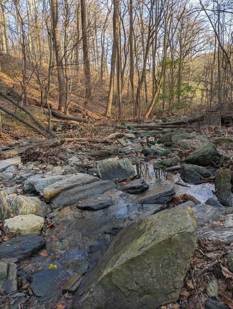 nicholasrfish's tweet photo. On Thanksgiving, we go hiking (trails picked by @DebGod) https://t.co/7CbB2dT65a