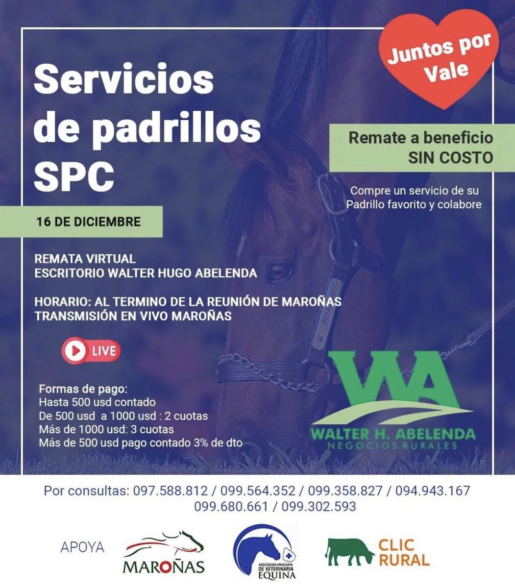 sofi12112's tweet photo. #juntosporvale https://t.co/y2CfNdF2J4