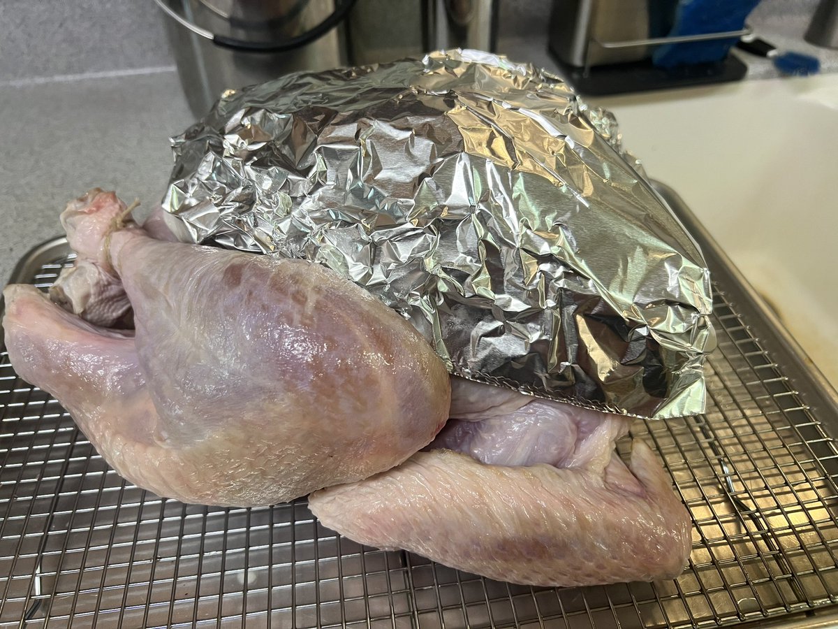 griduino's tweet image. Our bird came from the Tinfoil Turkey Hat Society!
He’s safe from alien thought control rays, amiright?