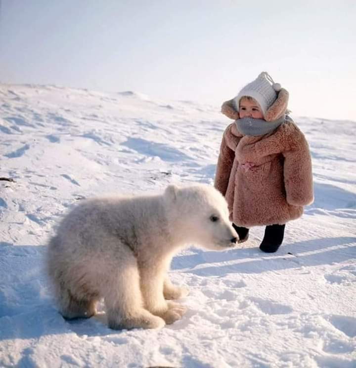 Badam Badam on Twitter: "Өглөөний мэнд. Таны энэ өдрийн хийх ажил үйлс ...