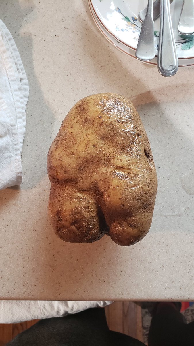 BoyGnar1980's tweet photo. Found this thicc potato while peeling and gave her a kinky boots makeover https://t.co/WFKGj9j74Y