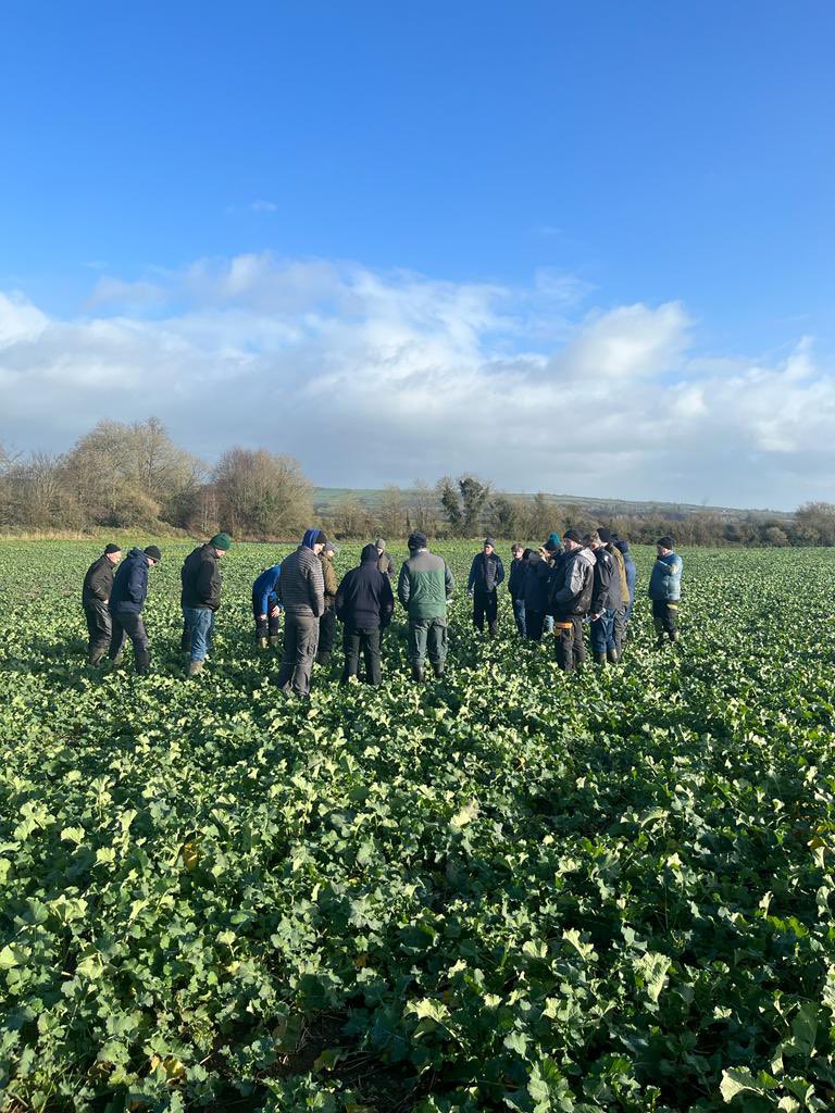 John Mahon discussing grass weed control at the ECT crop walk in Ballyragget this morning #tillage #crop #knowledgetransfer <a href="/TeagascCrops/">Teagasc Tillage Team</a>