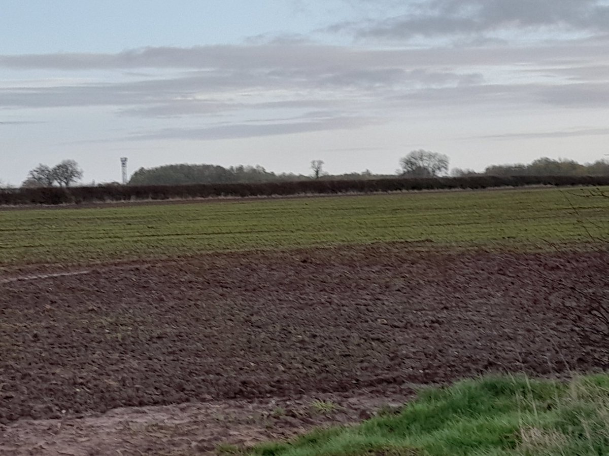 PROT_DISEWORTH's tweet photo. This is what we lose should warehousing planning be granted.
@LeicsCountyHall @NWLeics_CEO 
How will this help net zero?
Save our fields and invest in self sustainability. 
7 miles of hedgerows,  trees and 250 acres of agricultural land will be lost.
How is that  right? https://t.co/giLdoJsV3w