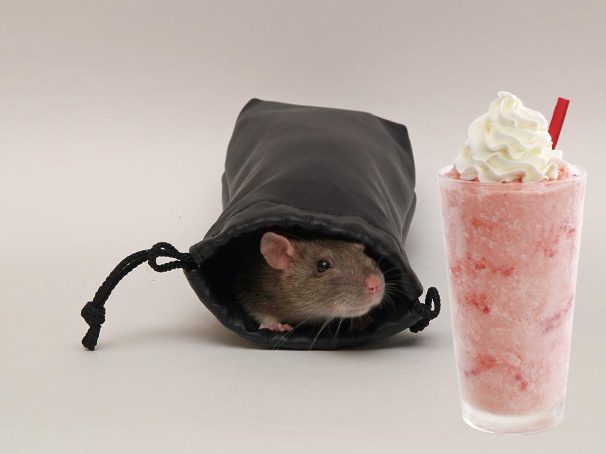 TouchScreenCog's tweet photo. Alright!  Now that the rat is out of the bag:  we want to know who do you want to present at the 5th Annual International Touchscreen Symposium?

Comment below or on our forum: https://t.co/Kx9yMjpB2H https://t.co/5eU6hcrBfX