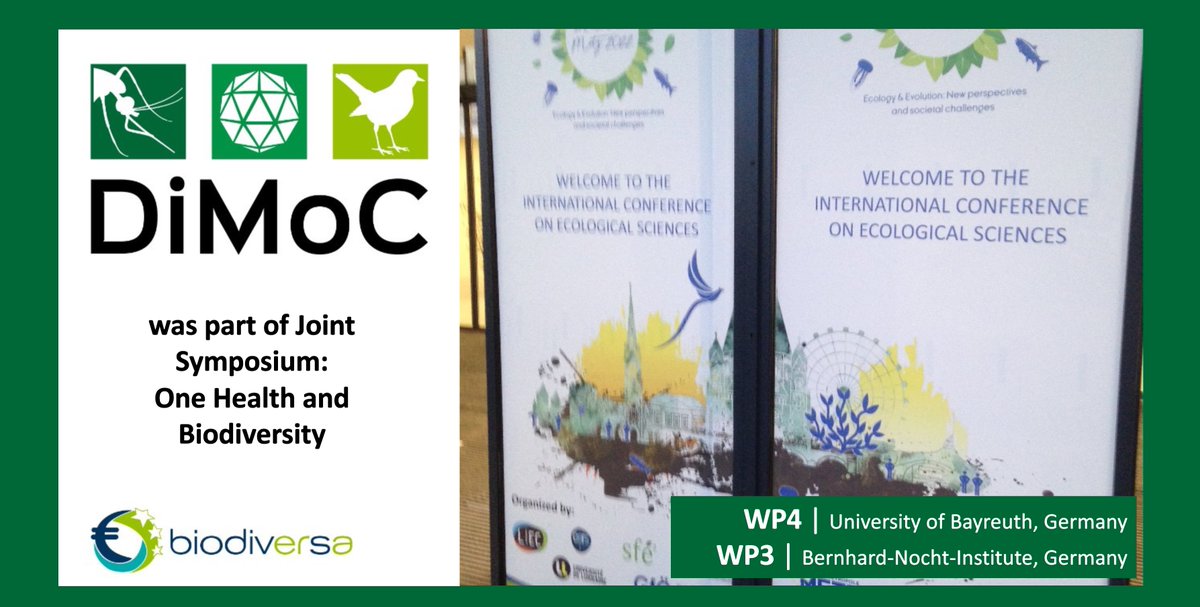 DiMoC (@dimoc11) on Twitter photo Members of the #DiMoC project funded by <a href="/BiodiversaPlus/">Biodiversa+ (European Biodiversity Partnership)</a> brought in the perspective of mosquito-borne diseases at the Symposium on "One Health: Why Biodiversity is important?" part of #sfe2gfoe2022 - Thank you <a href="/eu_forest/">Dr Forest EU</a> for organizing this informative event. Members of the #DiMoC project funded by <a href="/BiodiversaPlus/">Biodiversa+ (European Biodiversity Partnership)</a> brought in the perspective of mosquito-borne diseases at the Symposium on "One Health: Why Biodiversity is important?" part of #sfe2gfoe2022 - Thank you <a href="/eu_forest/">Dr Forest EU</a> for organizing this informative event.