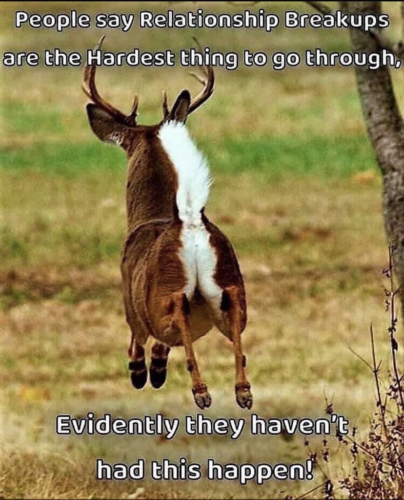 Outdoor Obsession tweet media