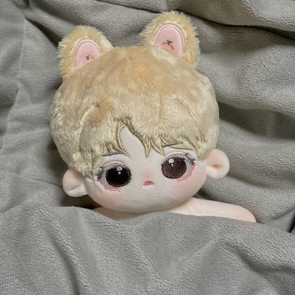 체랑구 tweet media