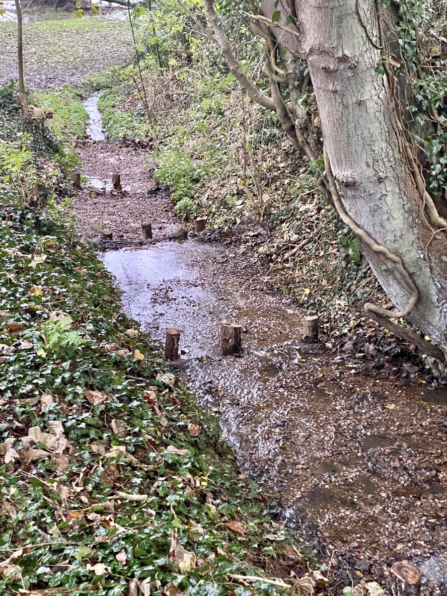 feel_paul's tweet photo. Timely tidying and raking the drainage channel gravel terraces & cascades ahead of this afternoon’s watery deluge. The #derwent #river is continuing to flood the #wildmeadow community project. #makeithappen #keepitreal #keepitrural in #godsowncounty the #eastridingofyorkshire https://t.co/emQ6c4tgbD