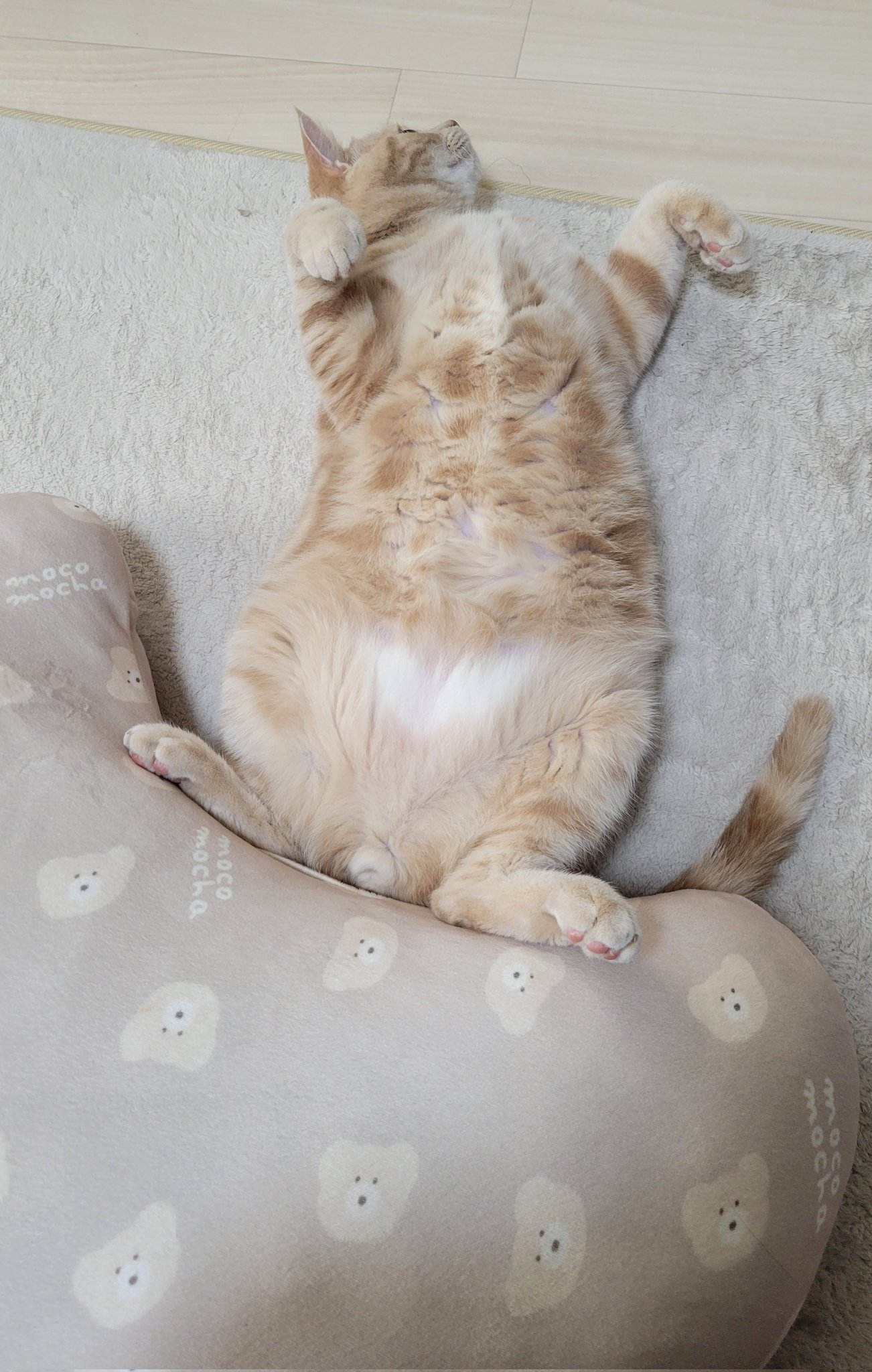 ももにゃん様❤アメリカンショートヘア 印鑑スタンド♡シルエット型 ももにゃん様❤アメリカンショートヘア 印鑑スタンド♡シルエット型