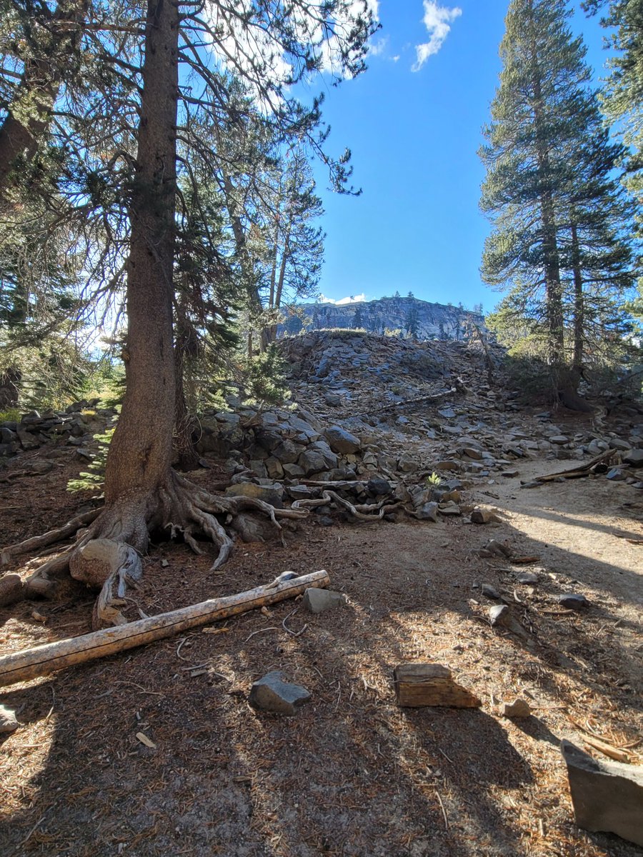 Kelly Palmer 🌻🇺🇦🌻🇺🇦 tweet media