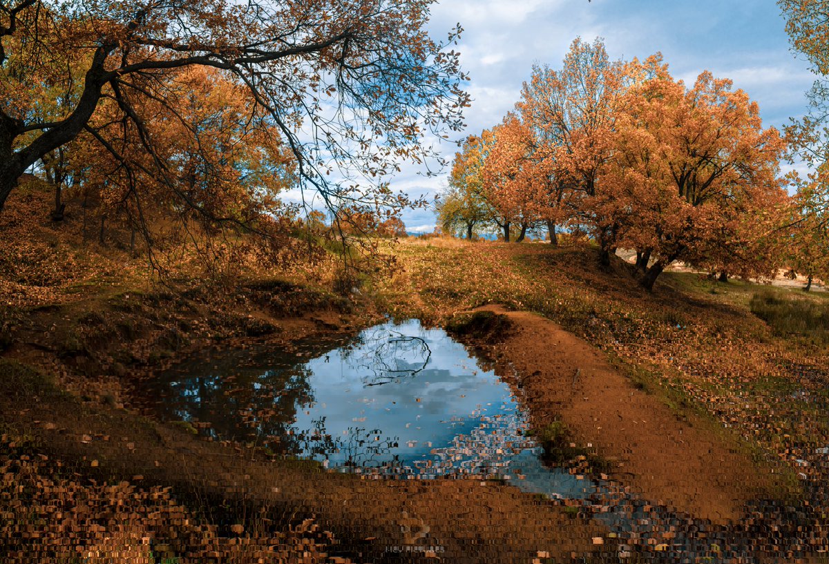 🍂🍂😌🍂🍂 
#Битола #Македонија #Есен #NikonMacedonia #Bitola #Macedonia #photography #Autumnphotography