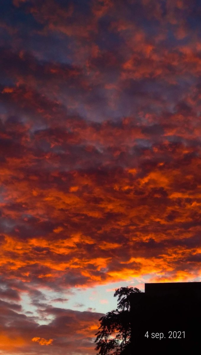 conamorvale's tweet photo. @twetsfy 🌇🧡 https://t.co/HosNiJkB4t
