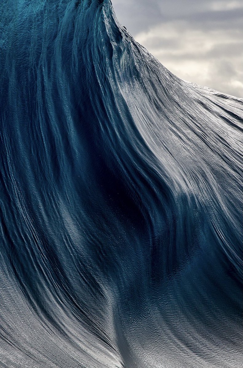 Andrew Semark tweet media