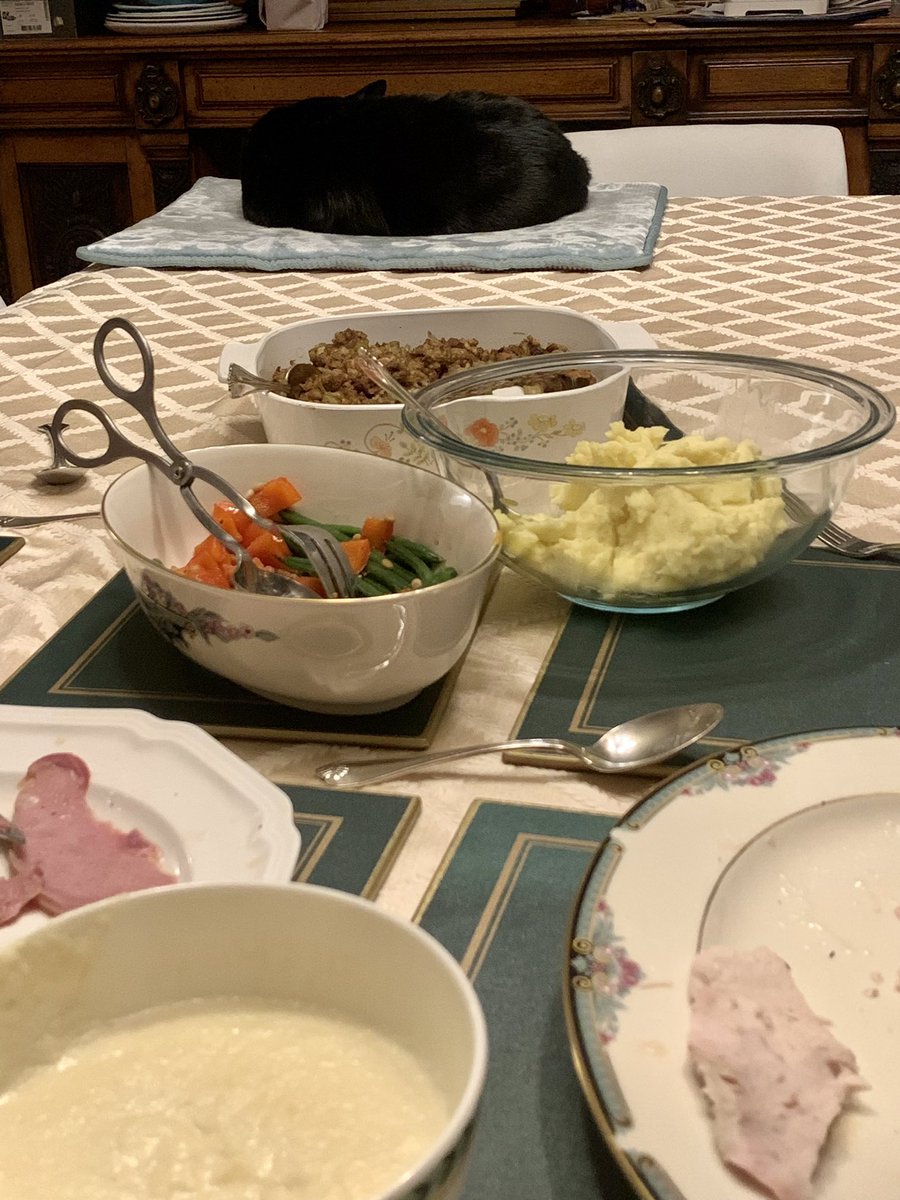 adam_cats's tweet photo. @Number10cat Turkey makes you sleepy. Here I am after a full meal Love Adam https://t.co/rKHZLyTHKe