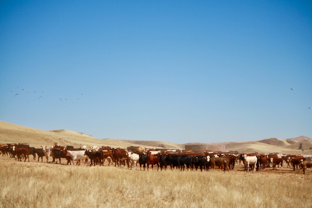 PrincessRoyalStation tweet media