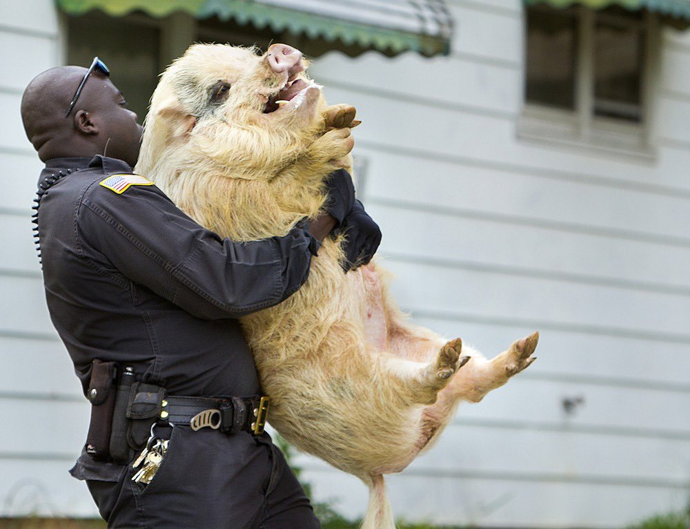 Jon_Linton's tweet photo. Me getting removed from thanksgiving dinner for eating all of the yammies https://t.co/xuUw1ca7v7
