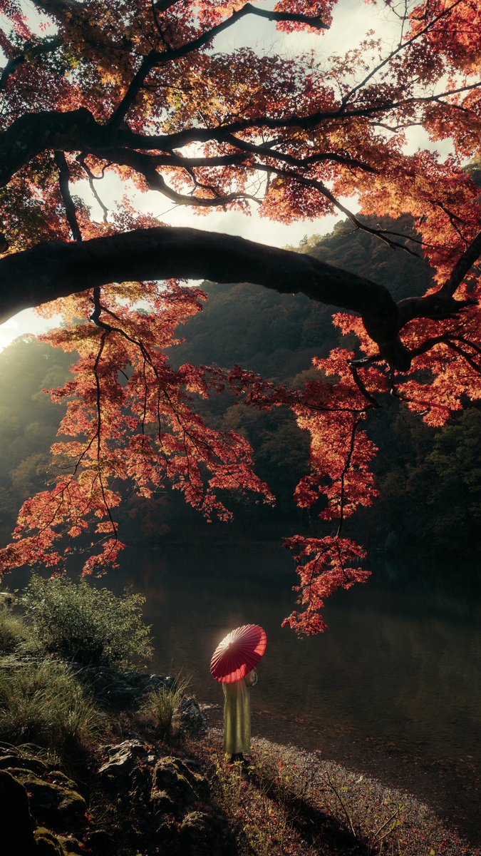 JedinasWorld tweet media