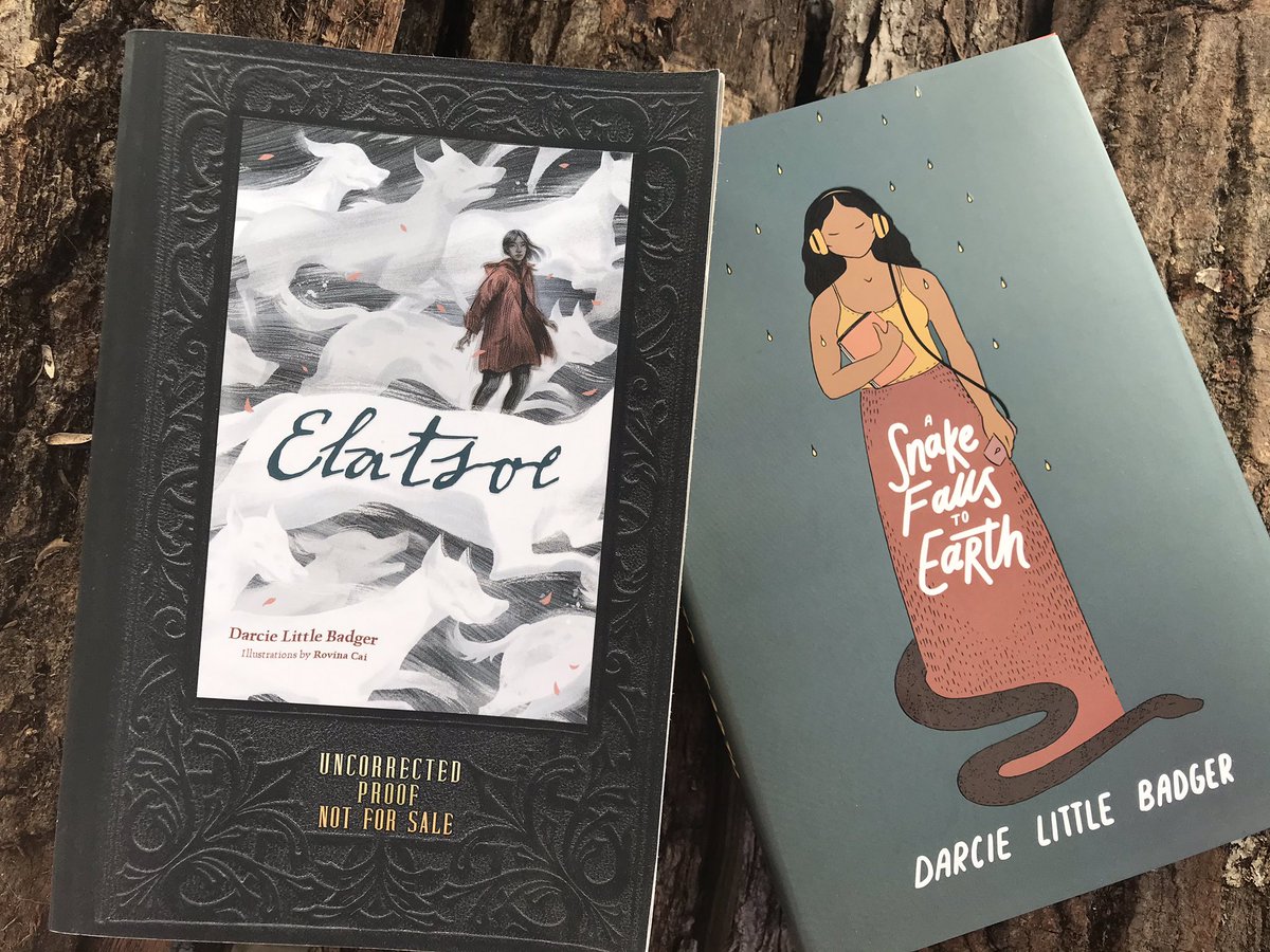 MundodePepita's tweet photo. @LevineQuerido kindly sent me an ARC of Elatsoe a few years ago-so good I read it in one go, couldn’t put it down. Can’t wait to read their next, A snake falls to earth! #FirstNations #indigenousvoices #LipanApache #greatbooks https://t.co/BvDNvsxVhJ