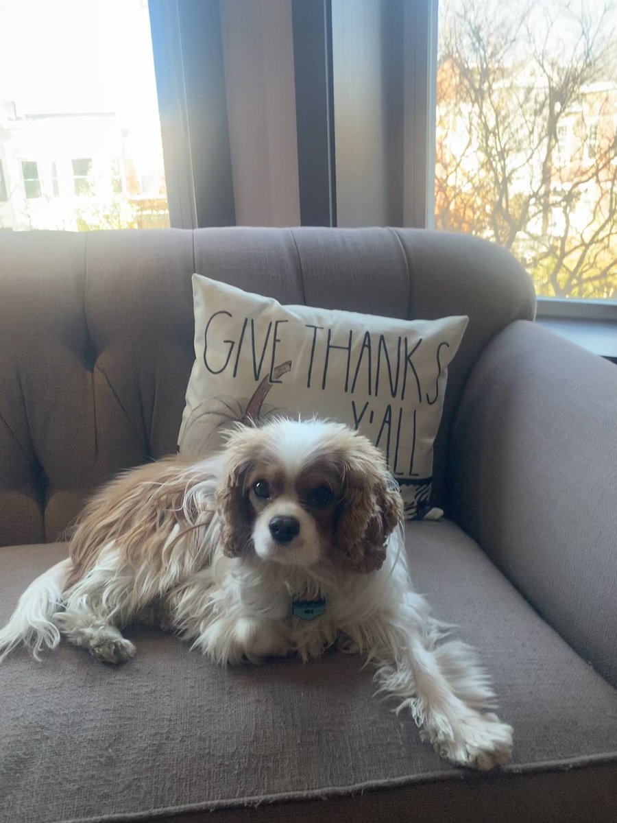 Happy Thanksgiving 🍁🦃 #grateful