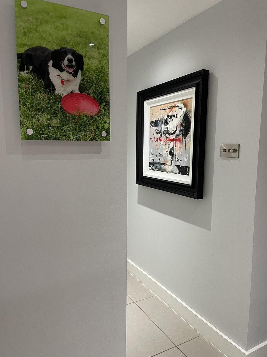 JoBrain's tweet photo. Remembering our beagle collie cross. New artwork up @Snoopy #ripsnoop @DogsTrust https://t.co/2zqVSpqryE