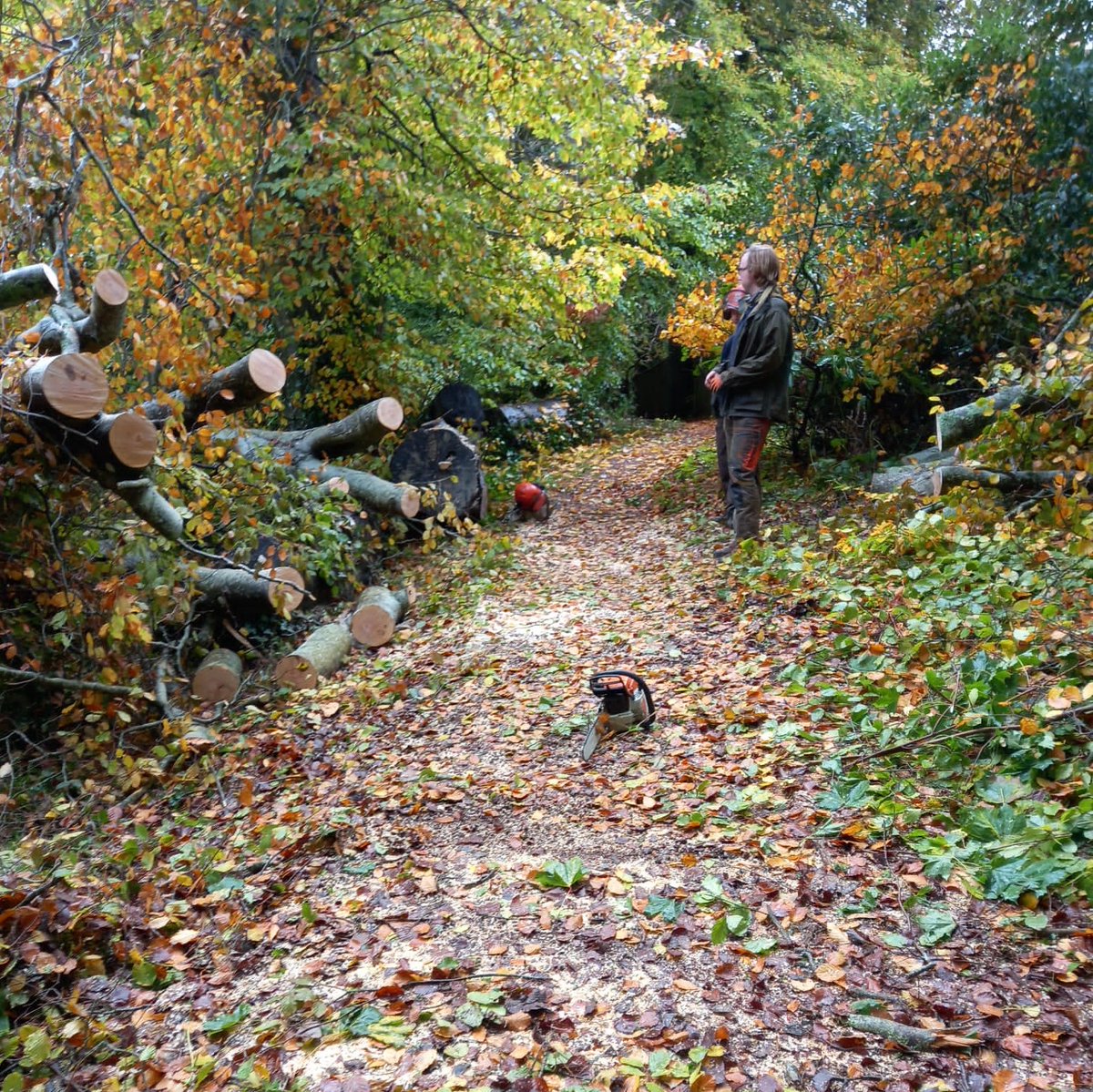 TorCoastCountry's tweet photo. The high winds have brought down a few trees recently. The rangers have been out clearing the footpaths across the bay. This did create an opportunity to build a new bench though, where the trunk was just too heavy to move!

#countrysiderangers #fallentrees #footpathmaintenance https://t.co/E8jVTH205y