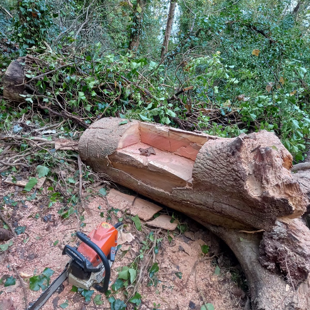 TorCoastCountry's tweet photo. The high winds have brought down a few trees recently. The rangers have been out clearing the footpaths across the bay. This did create an opportunity to build a new bench though, where the trunk was just too heavy to move!

#countrysiderangers #fallentrees #footpathmaintenance https://t.co/E8jVTH205y