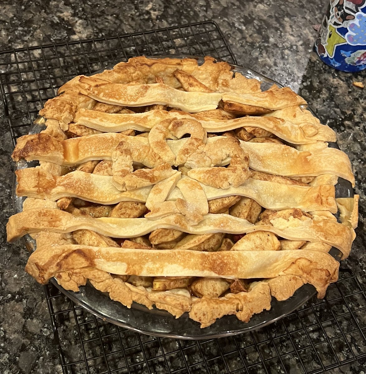 #HappyThanksgiving: Very pleased with how my homemade spiced cranberry-apple pie turned out 🥧🙌 #NeverBakedThisBefore #Relieved #ThanksgivingPie #AlwaysRoomForPie