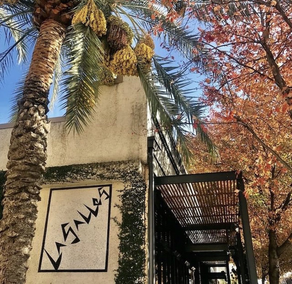 LaSallesChico's tweet photo. 🍂Happy Thanksgiving! La Salles is closed today and will reopen at 4:00 PM tomorrow, Black Friday. Join us for Daily Happy Hour from 4-6 PM!🍻 https://t.co/nC890d7Z6M