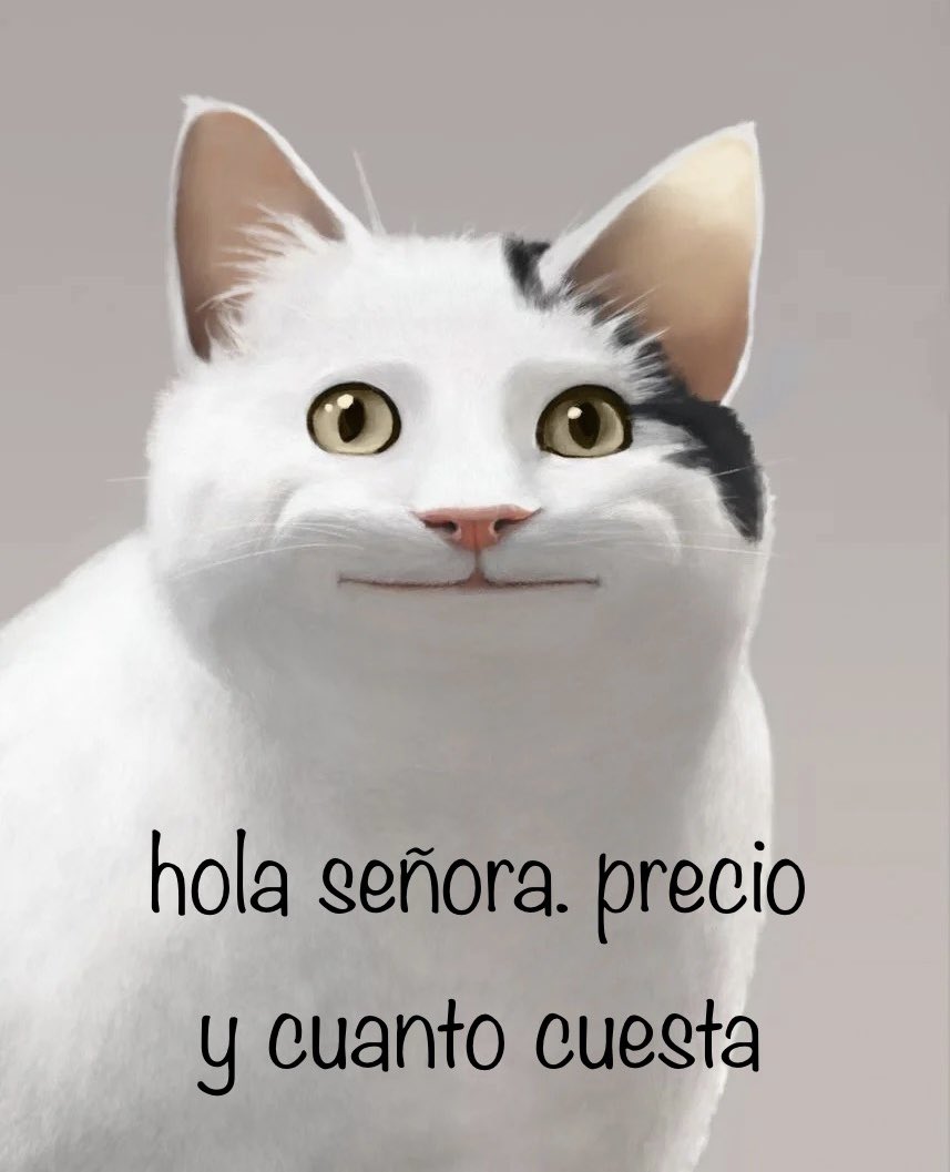 LiqualityHelp's tweet image. Now that you'll be selling #NFTs to native Spanish speakers thanks to the translations in the @Liquality_io #Wallet, learn how to deal with buyers in your inbox saying:

“hola señora. precio y cuanto cuesta”

“hi ma'am. price and how much does it costs”

Follow us for more tips!