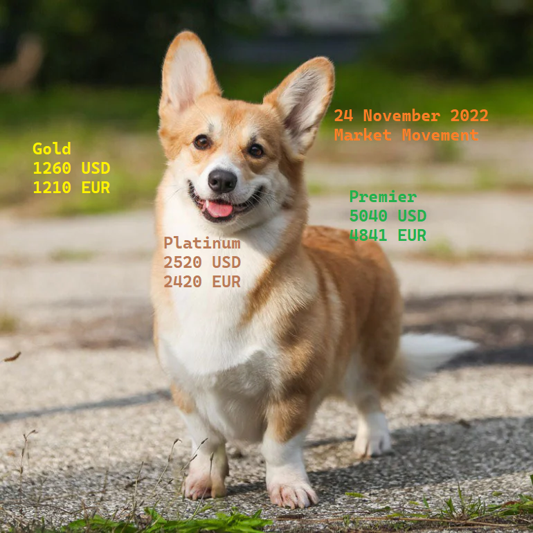 as4Meta's tweet image. 24 November "Gold" Movement