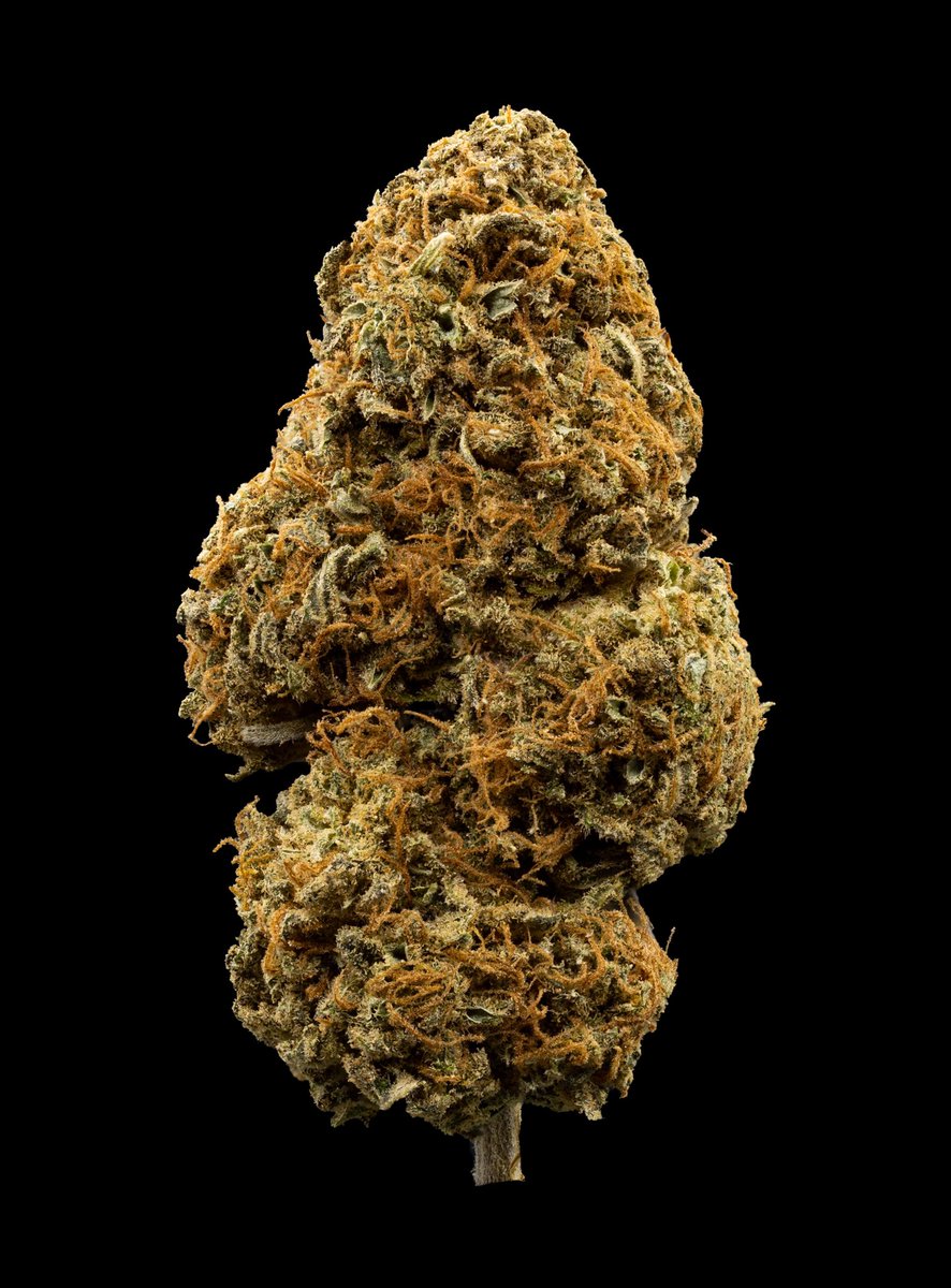 Berry White, one of my favorite pictures I have taken!

#macrophotography #closeups #cannabismacro #cannabisbud #cannabisphotography #cannabiscommunity #budshots420 #weedphotography #trichomes #macro #recreationalcannabis #cannabisporn #not4sale #cbdflower #sativa