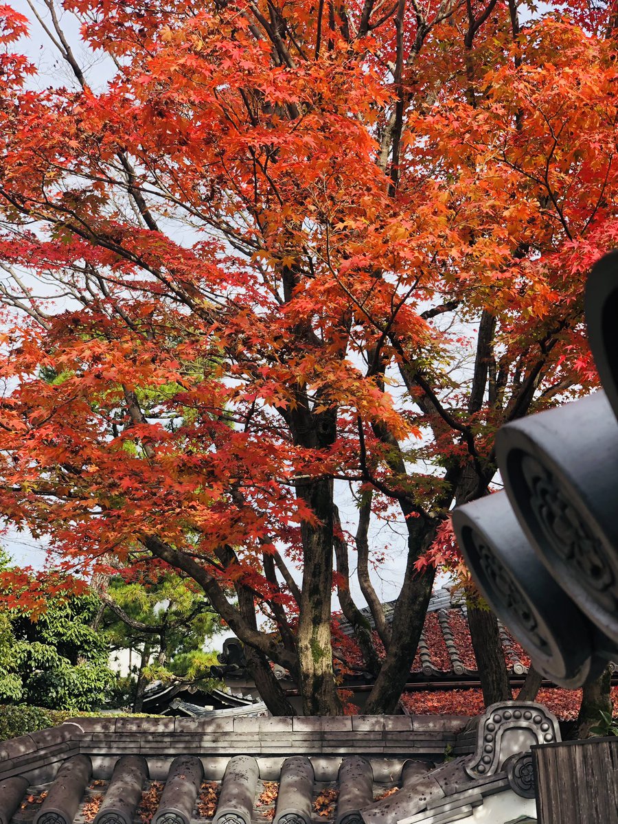 FFCフットサルリーグ tweet media