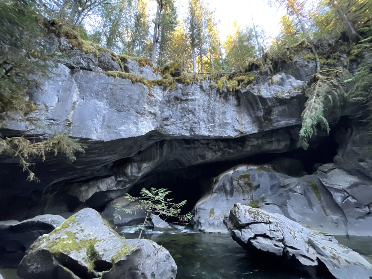 Castlemain tweet media