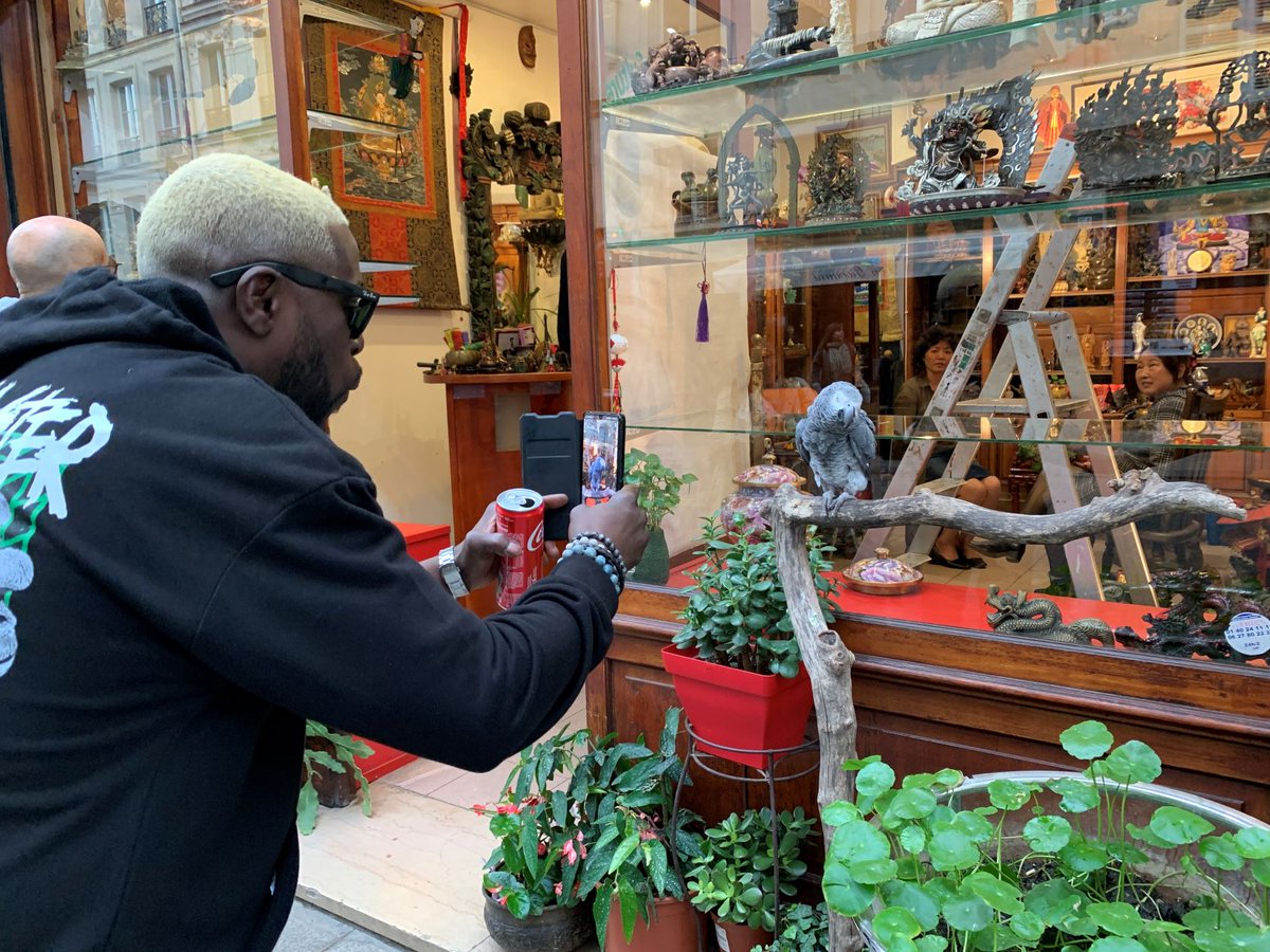 LFarnsworth's tweet photo. Strike a pose.

#paris #france 🇫🇷 #fridayphoto #andobserving👓 https://t.co/iMYyYuCWVa