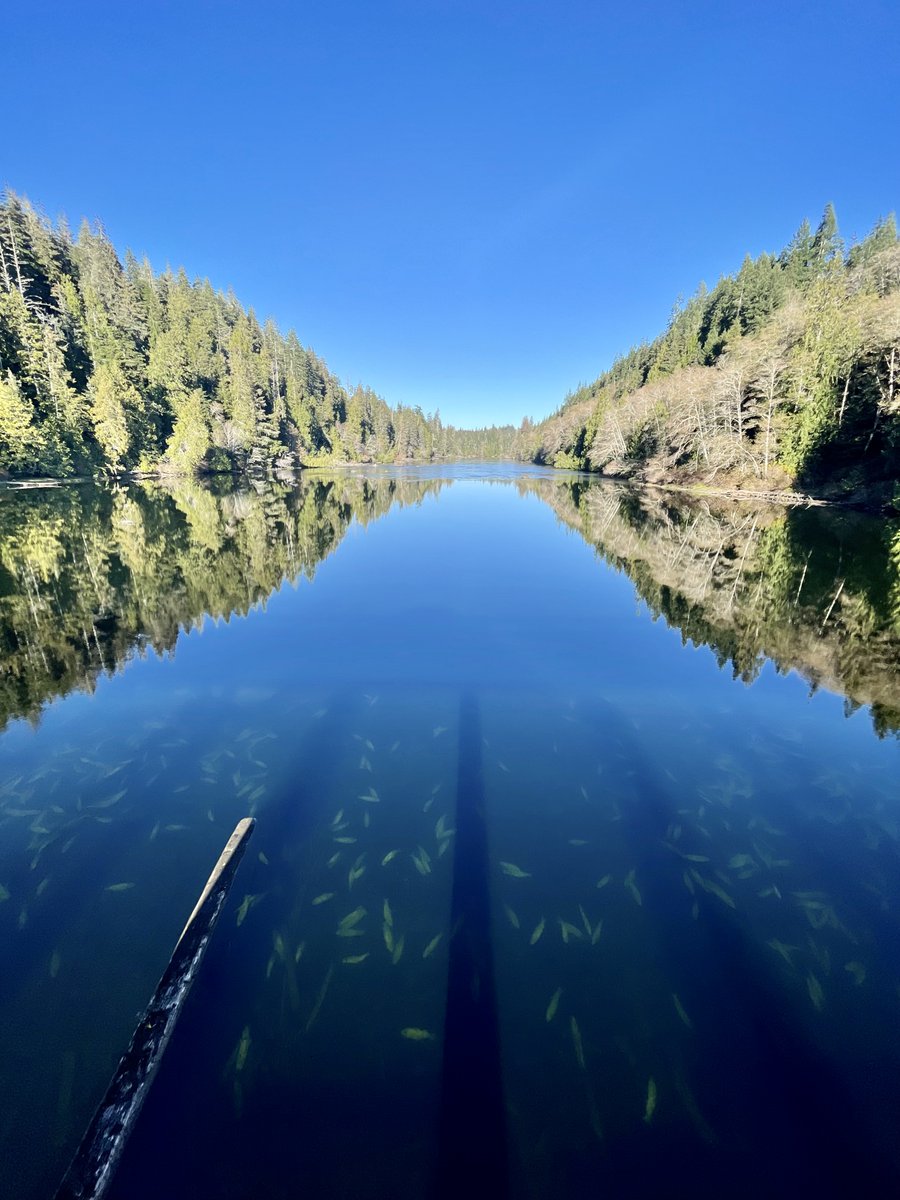 Castlemain tweet media