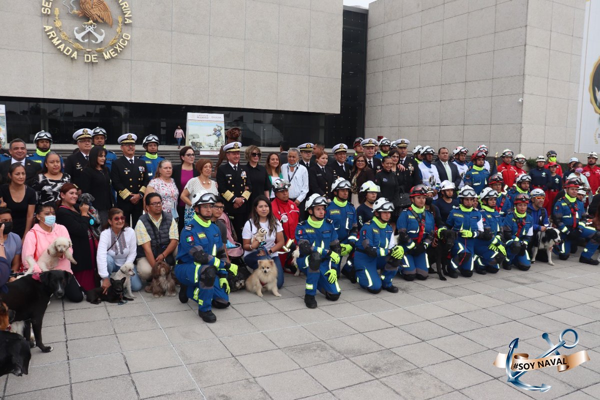 SEMAR_mx's tweet photo. Así se vivió la Ceremonia Luctuosa del Elemento Canino #Frida 🐾❤️⚓️ 

Gracias por acompañarnos en su último adiós.

Conoce más en:📄https://t.co/TuyNlfeSCi
Galería fotográfica:📸 https://t.co/mjpfK462wm https://t.co/T1l3JmRfzD