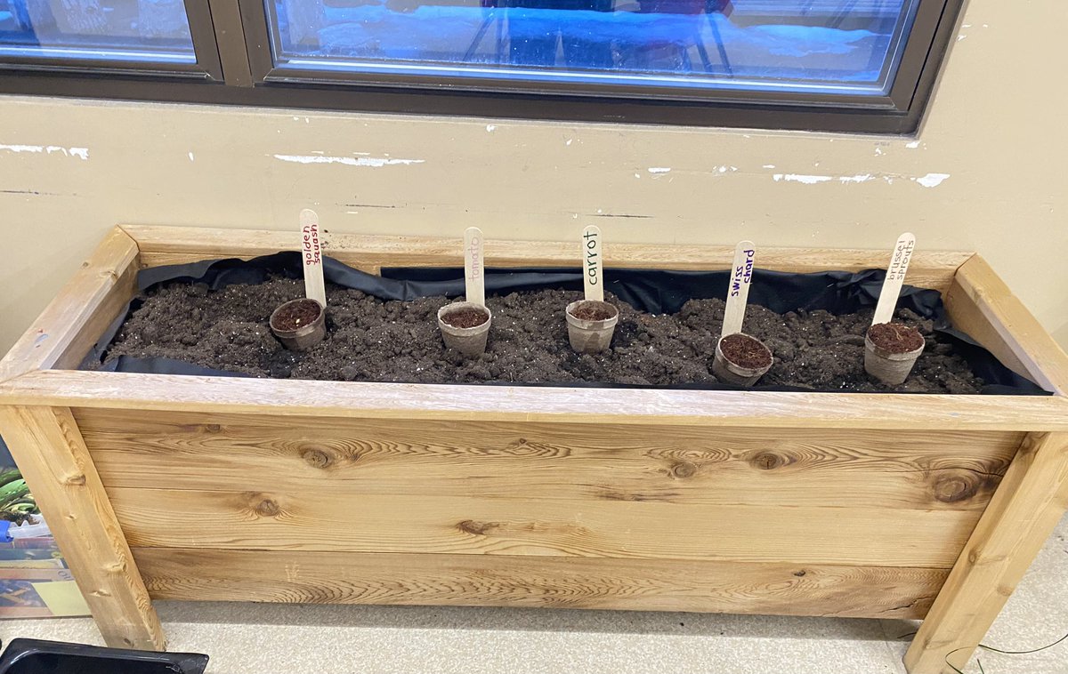 learningnature's tweet photo. We did a little gardening in grade one today.#cjmrocks https://t.co/VUnNGICEut