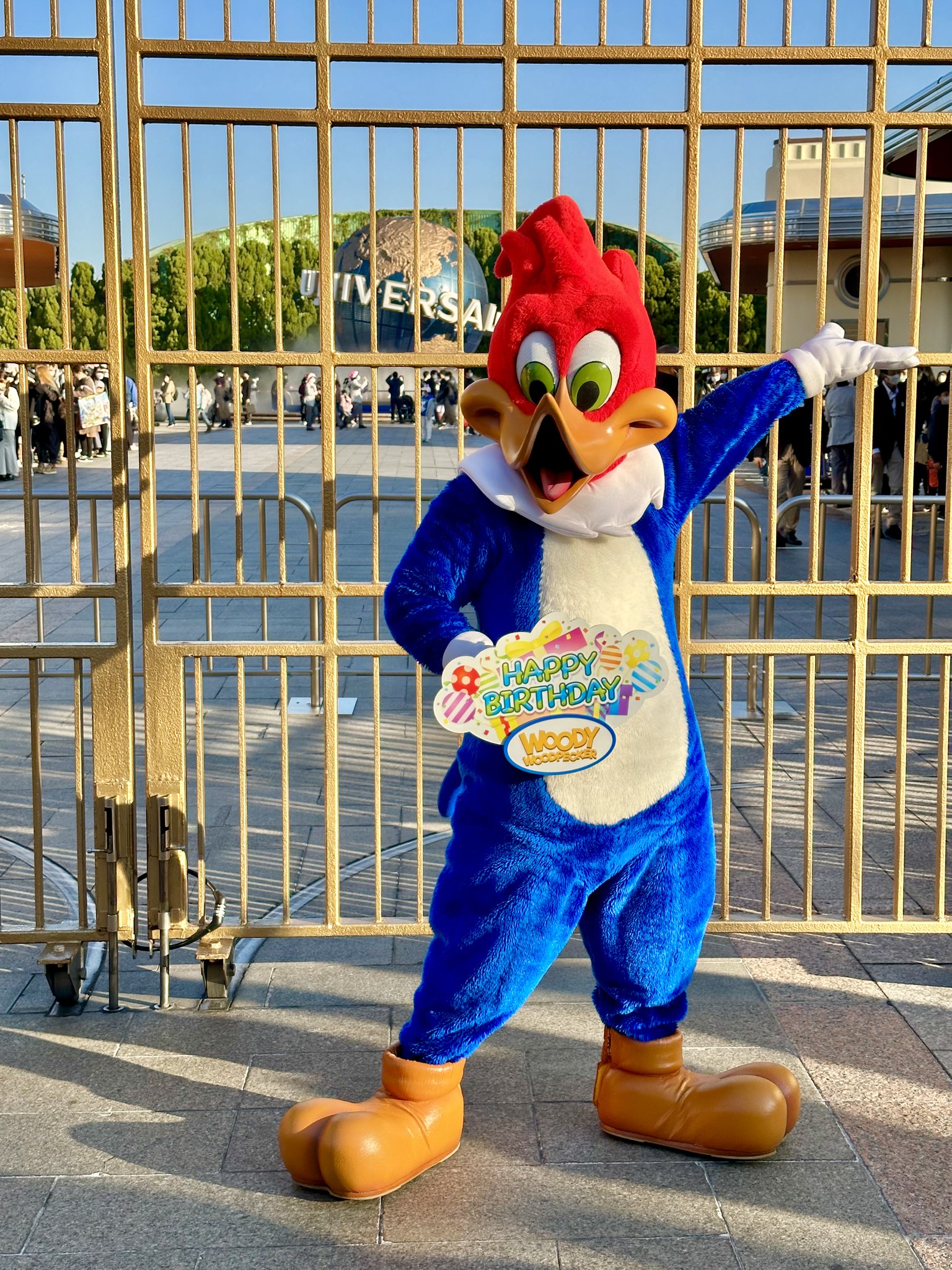 ユニバーサルスタジオジャパン ウッドペッカー水筒 レア ユニバーサルスタジオジャパン ウッドペッカー水筒 レア