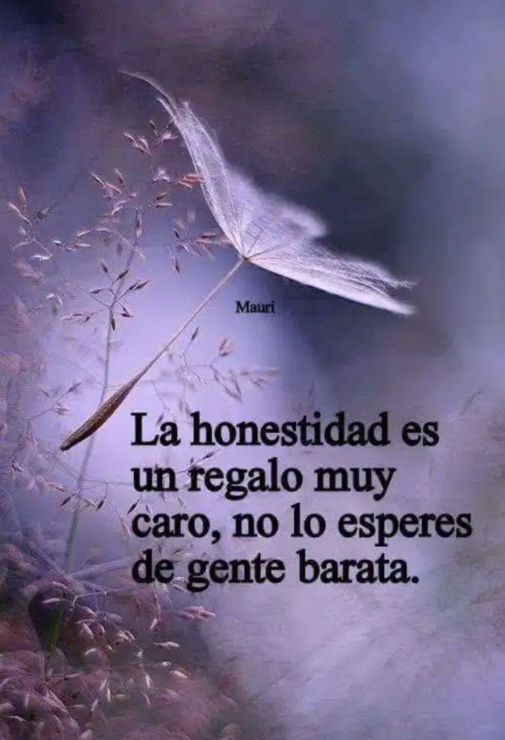 Motivosentuvida's tweet photo. La honestidad es un regalo muy caro, no lo esperes de gente barata! https://t.co/LehDzPBFvJ
