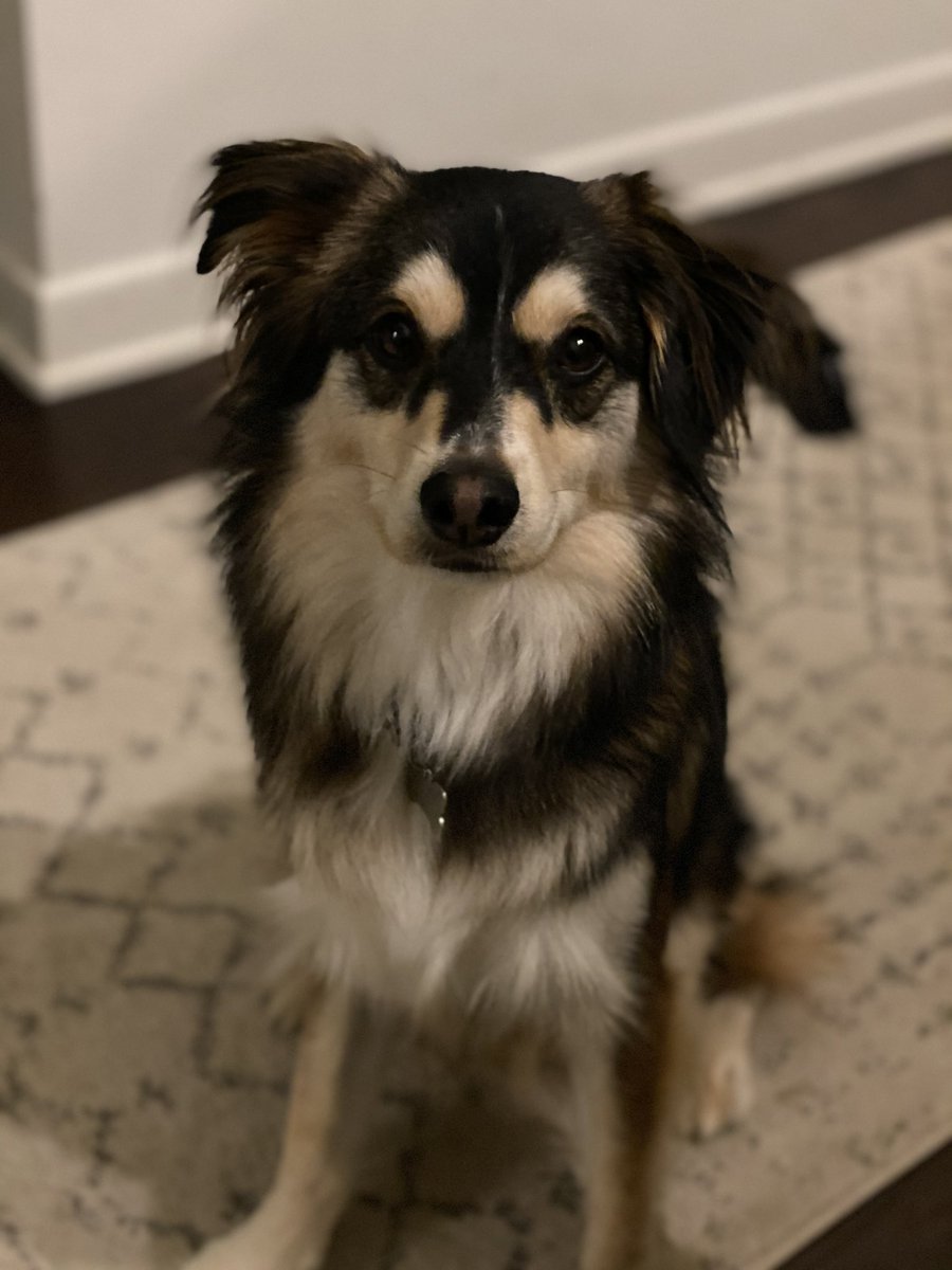 Kenneth Fuchs tweet media