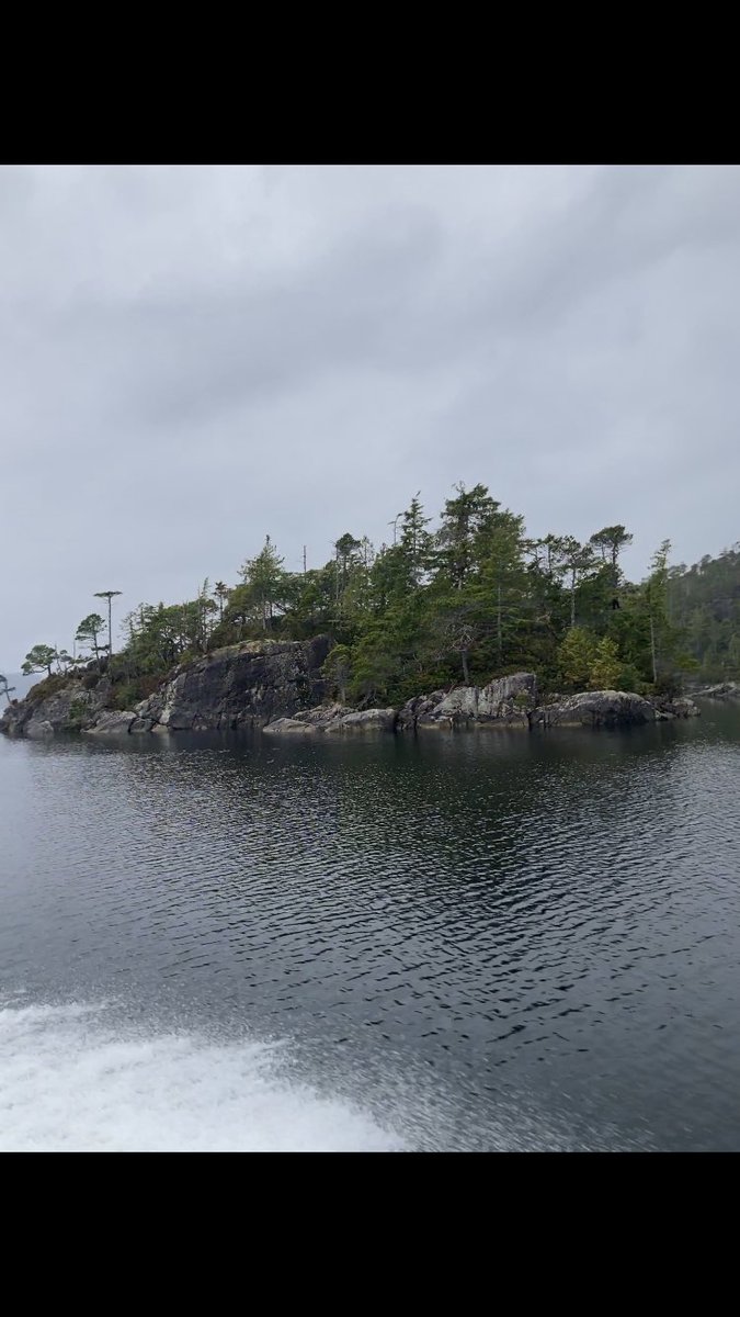 Picked up a perfect <a href="/Bot_Head_NFT/">Bot Head</a> after an afternoon in the backcountry of costal BC. Inspired &amp; excited to be part of the crew ✨🤙🌲