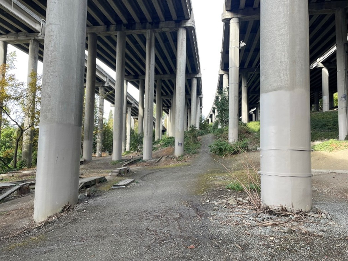 Seattle Parks tweet media